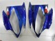 Bleu Requin Carénage R6 06-07 Bleu Requin Carénage R6 06-07