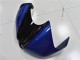 Bleu Requin Carénage R6 06-07 Bleu Requin Carénage R6 06-07