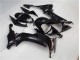 Noir Brillant Carénages ZX10R 08-10 Noir Brillant Carénages ZX10R 08-10