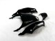 Noir Vert Carénage ZX14R ZZR 1400 12-21 Noir Vert Carénage ZX14R ZZR 1400 12-21