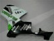 Vert Carénage CBR 600 RR 05-06 Vert Carénage CBR 600 RR 05-06