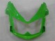 Vert Carénages EX650 06-08 Vert Carénages EX650 06-08