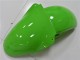 Vert Carénages ZX6R 00-02 Vert Carénages ZX6R 00-02