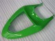Vert Carénages ZX6R 05-06 Vert Carénages ZX6R 05-06