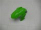 Vert Noir Argent Carénage EX300 13-16 Vert Noir Argent Carénage EX300 13-16