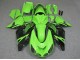 Vert Noir Carénage ZX14R ZZR 1400 06-11 Vert Noir Carénage ZX14R ZZR 1400 06-11