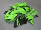 Vert Noir Carénage ZX14R ZZR 1400 06-11 Vert Noir Carénage ZX14R ZZR 1400 06-11