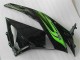Vert Noir Carénage ZX6R 09-12 Vert Noir Carénage ZX6R 09-12