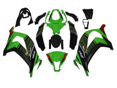 Vert Noir Carénages ZX10R 11-15